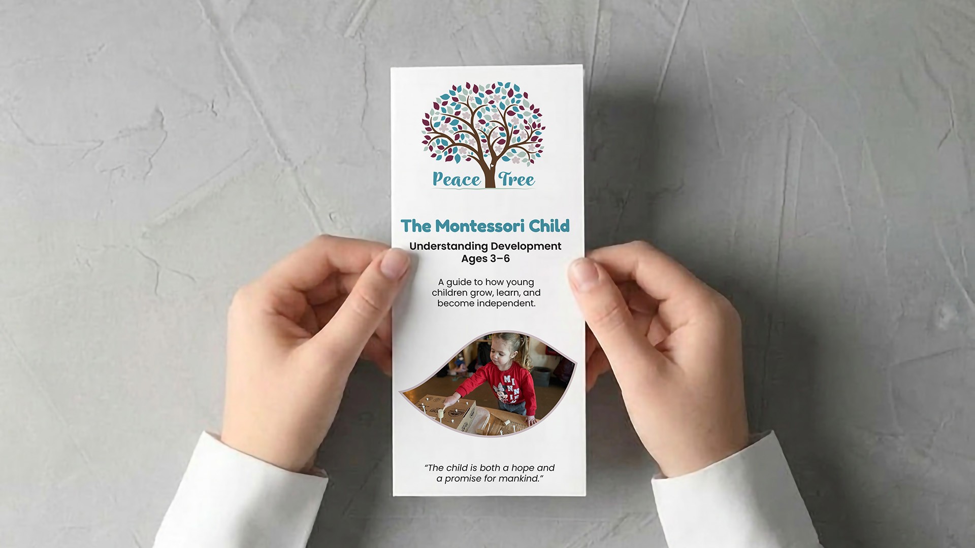 The Montessori Child Brochure / Front